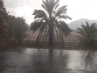 باران و طغیان شدید رودخانه‌ها در احمدی هرمزگان