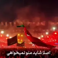 مداحی "اصلا شاید منو نمیخوای" با صدای محمد ابراهیمی اصل 