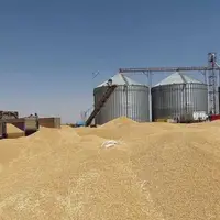 بخشی از مطالبات گندم‌کاران واریز شد