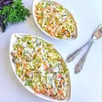 وقتی از غذای تکراری خسته ای، سالاد مرغ امتحان کن 