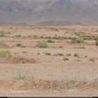 اعطای عالی‌ترین نشان تخصصی و ارزشی جشنواره گرامیداشت ملی روز جنگلبان به جنگلبان خراسان جنوبی