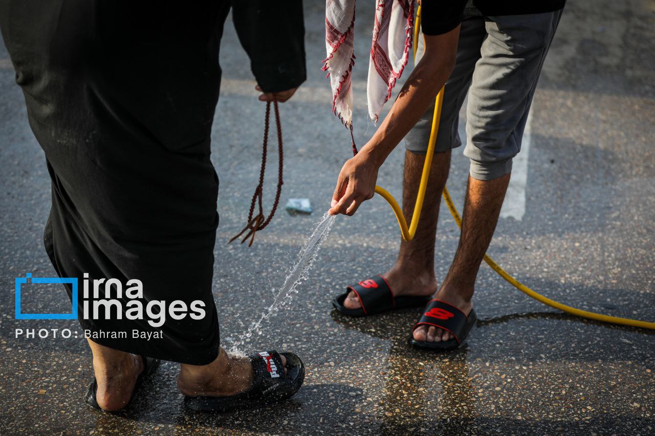 عکس/ ​​​​​​​پیاده روی اربعین در مسیر تاریخی «طریق العلماء»