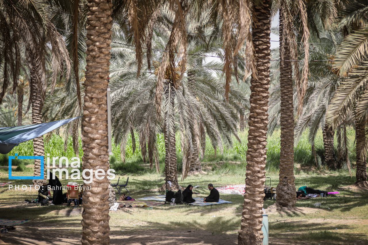 عکس/ ​​​​​​​پیاده روی اربعین در مسیر تاریخی «طریق العلماء»