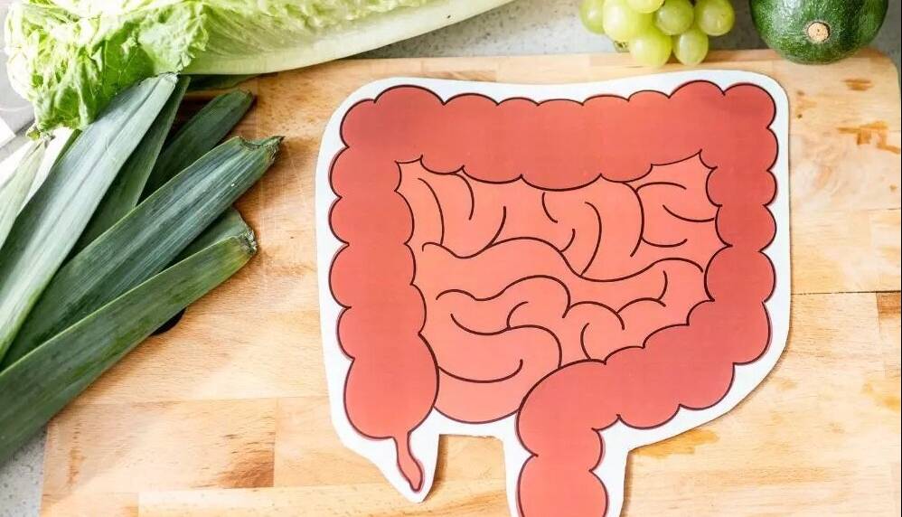 ۵ عادت طلایی برای داشتن رودهای سالم