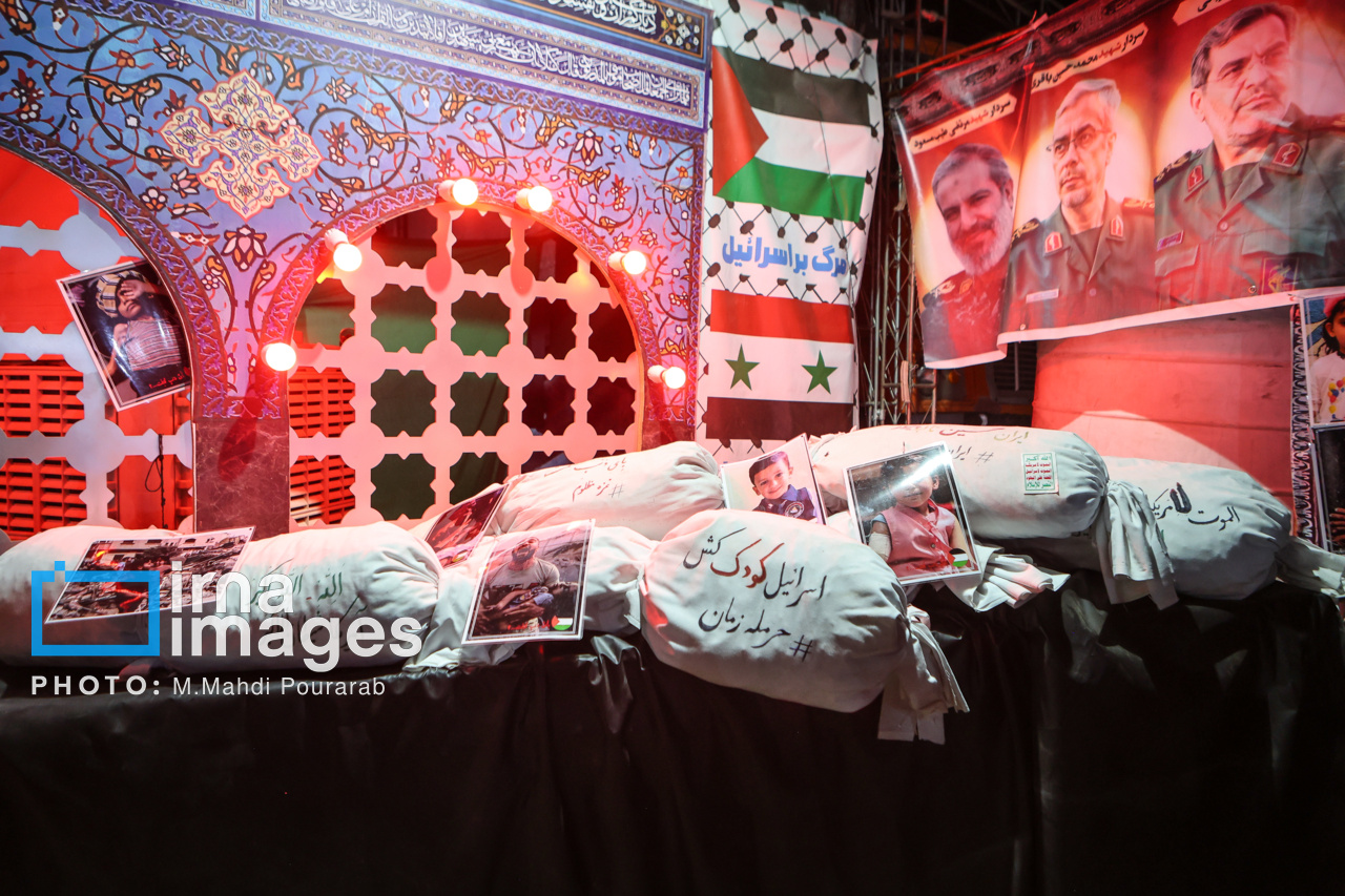 عکس/ زائران اربعین در مسیر نجف به کربلا