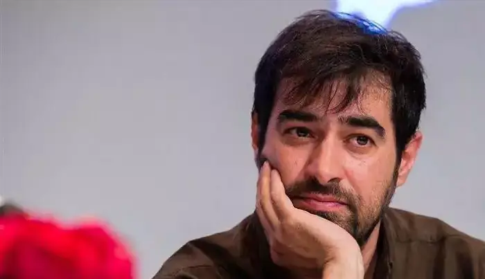 چهره ها/ شباهت خیره‌کننده پسر شهاب حسینی به پدرش