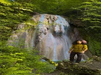آبشار اسکلیم رود در جنگل لفور 