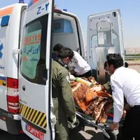 حال مصدومان حادثه تصادف زائران در عراق مساعد است