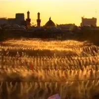 عکس/ تصویری از بین‌الحرمین در آستانه اربعین حسینی