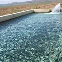 کود مورد نیاز آبزی‌پروری در گلستان تامین شد