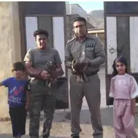 دو قطعه سارگپه پابلند نابالغ به حفاظت محیط‌زیست خانمیرزا تحویل شد