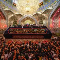 عکس/ حرم مطهر علوی مملو از زائران اربعینی 
