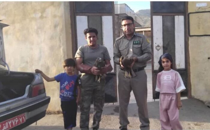 دو قطعه سارگپه پابلند نابالغ به حفاظت محیطزیست خانمیرزا تحویل شد