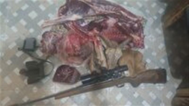 ضربه کاری محیط زیست بهاباد به شکارچی غیرمجاز