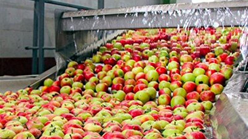 فعالیت بیش از ۲۲۰ واحد فعال صنایع تبدیلی در استان زنجان
