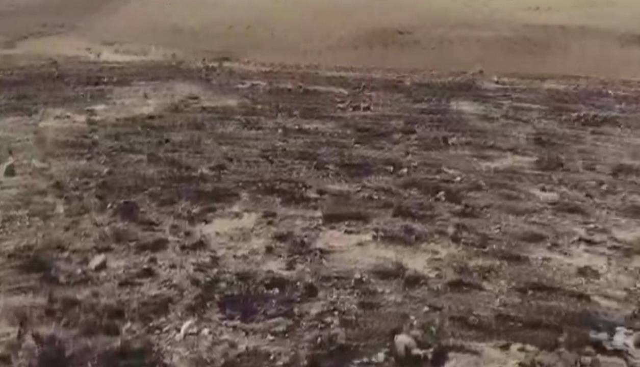 مهار آتش سوزی در مراتع کندوان و آشستان اسکو