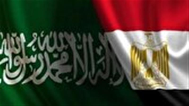 عربستان و مصر اظهارات نتانیاهو را محکوم کردند