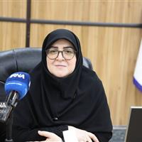 سخنگوی دولت: اقتصاد مرزها تضمین‌کننده امنیت پایدار کشور است