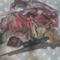 ضربه کاری محیط زیست بهاباد به شکارچی غیرمجاز