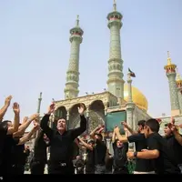 عکس/ اربعین در حرم بانوی کرامت