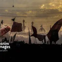 عکس/ کربلای معلی در اربعین حسینی(ع)