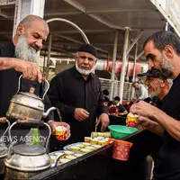 پیاده‌روی اربعین در طریق الحسین (ع)