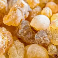 کندر چیست و چه خواصی دارد؟