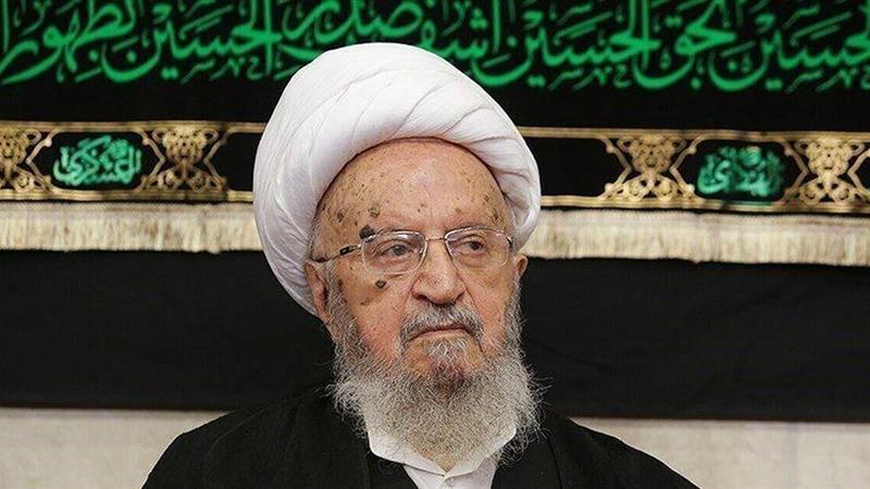 آیت‌الله مکارم شیرازی: اربعین سرمایه‌ای از عشق، ایثار و انسانیت است