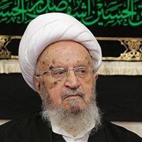 آیت‌الله مکارم شیرازی: اربعین سرمایه‌ای از عشق، ایثار و انسانیت است