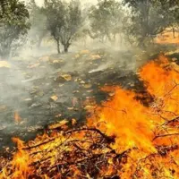 ادامه عملیات برای اطفای کامل حریق در یکی از مناطق جبالبارز