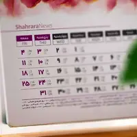 واکنش یک نماینده مجلس به اظهارات سخنگوی دولت درباره تعطیلی شنبه ها
