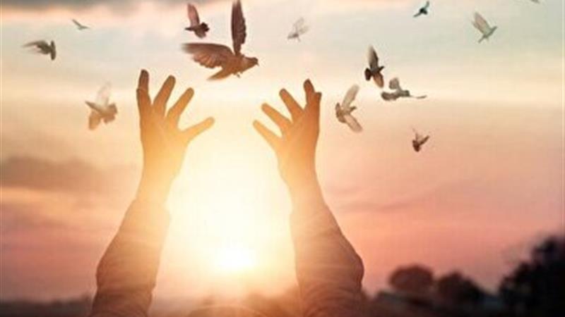 آزادی ۲۰۶ زندانی محکوم مالی در البرز