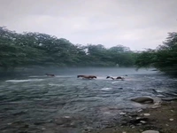 پنج منطقه دیدنی در سوادکوه