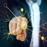 از ریاضیات تا موسیقی؛ نقش انواع هوش در انتخاب شغل