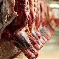 قیمت گوشت قرمز در روزبازارهای همدان چقدر است؟