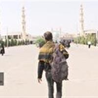 قم میزبان زائران زیارت اربعین