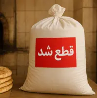 سهمیه آرد ۱۳۸ نانوایی در تهران قطع و رئیس اتحادیه عزل شد!
