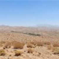 جدیت دستگاه قضا برای برخورد با متخلفین شکار و صید در یزد