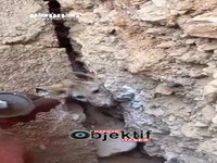 نجات شگفت‌انگیز یک روباه گرفتار بین صخره‌ها