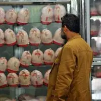 قیمت انواع گوشت مرغ اعلام شد
