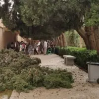 باغ شاهزاده ماهان عصر یکشنبه تعطیل است
