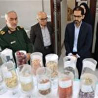 جهاد دانشگاهی با توجه به نیاز جامعه حرکت می‌کند