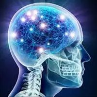 این غذاها سبب ابتلا به پارکینسون می‌شوند