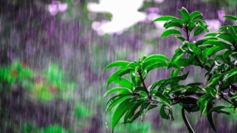 بارش باران در خراسان شمالی