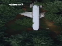 زندگی در هواپیما وسط جنگل!