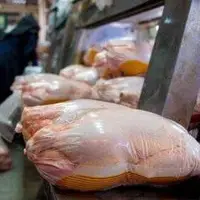 آرامش به بازار مرغ بازگشت؟