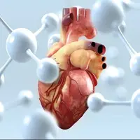 نانوذراتی که قلب را پس از سکته ترمیم می‌کنند