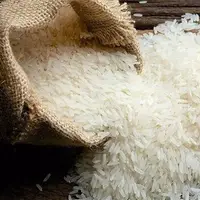 بازی جدید دلالان در بازار برنج؛ پیش خرید از برنجکاران برای احتکار!