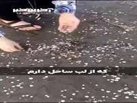 با صدفهای لب ساحل گوشواره بساز
