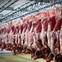 سوداگری در بازار دام و گوشت قرمز